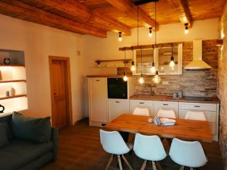 Apartments Dalmatian Stone House - Turanj - 9