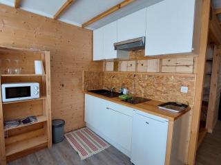 Studio cosy 4 pers proche pistes, balcon, casier à ski - FR-1-516-204 - Les Deux Alpes - 9