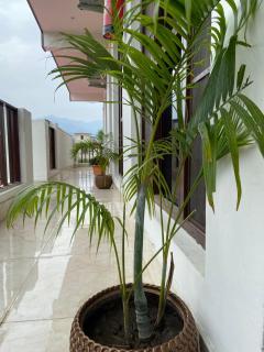 Sanskriti - Kotdwāra - 1