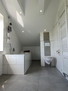 ruhige und moderne 2-Zi. Wohnung - Külsheim - 3