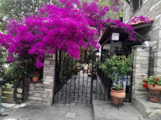 Papatzikos Traditional Guesthouse - Neos Marmaras - 7