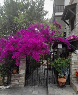 Papatzikos Traditional Guesthouse - Neos Marmaras - 6