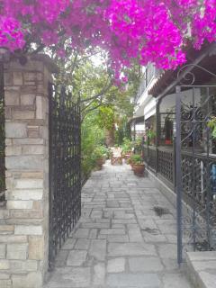 Papatzikos Traditional Guesthouse - Neos Marmaras - 5