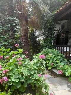 Papatzikos Traditional Guesthouse - Neos Marmaras - 2