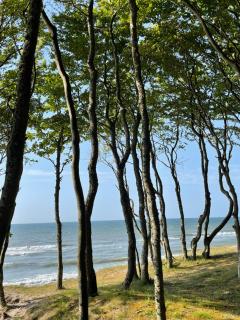 Apartament WATER Sun & Water Apartamenty Dębina - 5