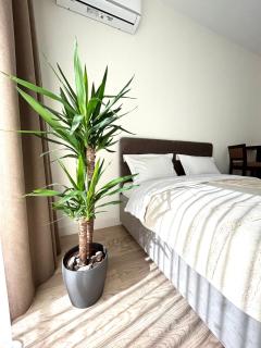 Luxury Waterfront view - BW apartment river view - Belgrado - 5