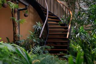 Hotel Thrive, A Tropical Courtyard - Kathmandu - 9