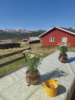 Kyrkjestølen B&B - Tyinkrysset - 3