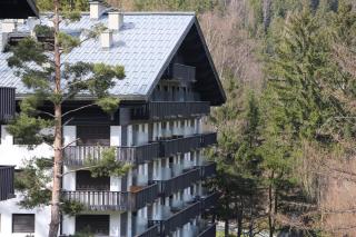Superbe T3 en face du Brevent, Chamonix - 6