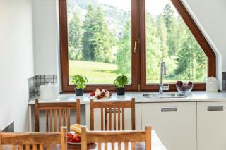 udanypobyt Apartament Koliba - Kościelisko - 3