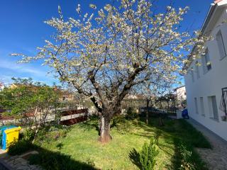 Apartman Grgurevic - Pula - 4