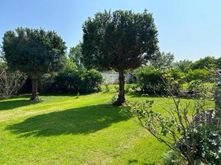 The Little Robin - 8