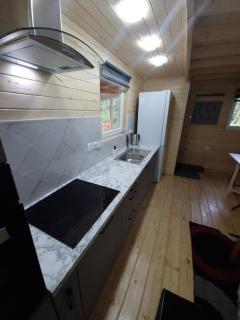 Piniowy Domek - Roztocze - 1