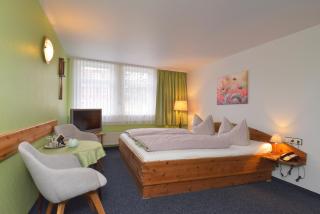 Hotel Goldene Sonne - Arnstadt - 7