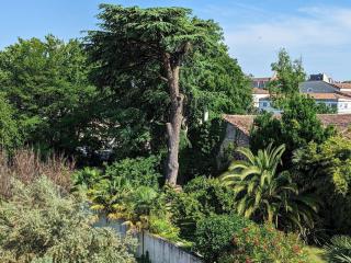 Séjour de luxe au cœur de Mainxe, avec truffe et cours de cuisine, idéal pour 4 couples - FR-1-653-235 - 6