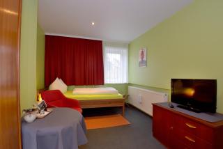 Hotel Goldene Sonne - Arnstadt - 1