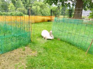 Domek w Górach Izerskich 4 i 6 osobowy, agroturystyka, żywe zwierzęta, w pełni wyposażone, plac zabaw dla dzieci, ognisko z kijkami i rusztem, ogrzewanie i klimatyzacja, latem basen - Mirsk - 1