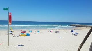 Casas da Barra - Praia de Mira - 0
