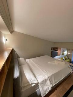 Yellow forest 11 - 7