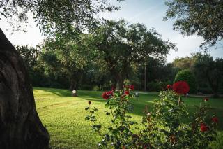 Panorama Hideaway - 1