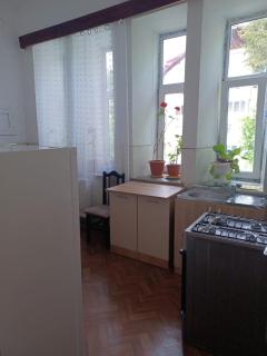 Vila Oltețul - Predeal - 8