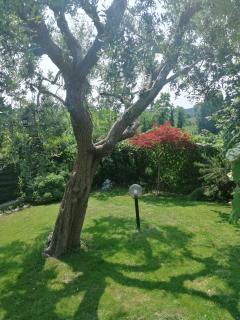 Casa Laghetto - Castellaro - 5