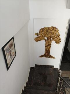 Aashiyana HomeStay - 0