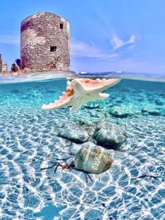 Bellavista Stintino - Stintino - 0