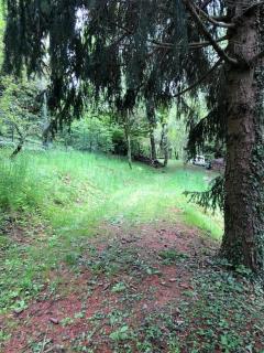 La casa nel bosco - Brione - 5