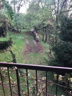 La casa nel bosco - Brione - Brione - 4