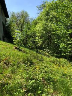 La casa nel bosco - Brione - 1