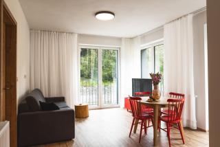 Apartmán Vlčice 211 Pec pod Sněžkou - Pec pod Sněžkou - 8