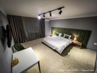 Pensiunea White Department - 1