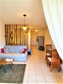 Magnifique T1 Soleil d'ouest - 8