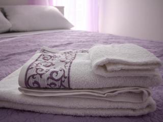 Apartment in Brodarica with sea view, balcony, air conditioning, WiFi 5183-1 - 1