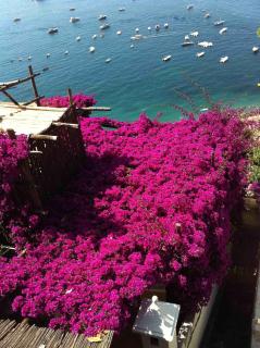 Villa Acquamarina - Positano - 9