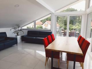 Luxury Family Apartments FRIGO - Maribor - 1
