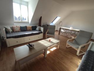 Superbe appartement - 5 mn du Zoo de Beauval (8p) - Saint-Aignan - 0
