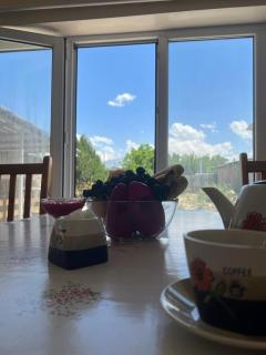 The Nest Hostel - Karakol - 5