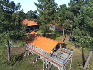 La Maison de l'Aérogrange - Biscarrosse - 5