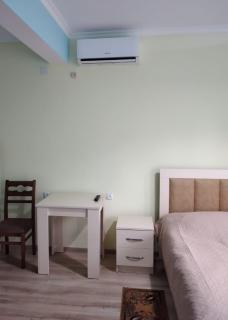 Nunu's Guesthouse - Tsqaltubo - 8