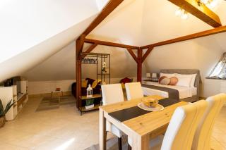 STYLISH STUDIO APARTMENT BURE - Murter - 7