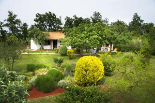Holiday Home Sergo - 4