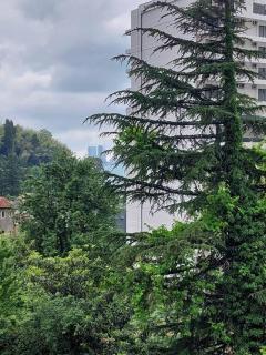 Batumi (Mahinjauri) - Batumi - 2