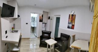 Apartament Sergiu Geanina - Micălaca - 4