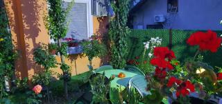 Apartman Lama - 6