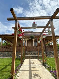 Casa Eden Fit - Făget - 0