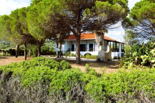 The Sisters Beach House - Diliso - 7
