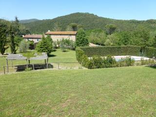 Agriturismo le Colline - Montescudaio - 0