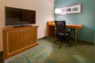 SpringHill Suites by Marriott Orlando Lake Buena Vista South - Kissimmee - 7